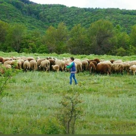 הוילה Tservenyano Ранчо Бандера מראה חיצוני תמונה